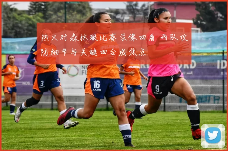 热火对森林狼比赛录像回看 两队攻防细节与关键回合成焦点